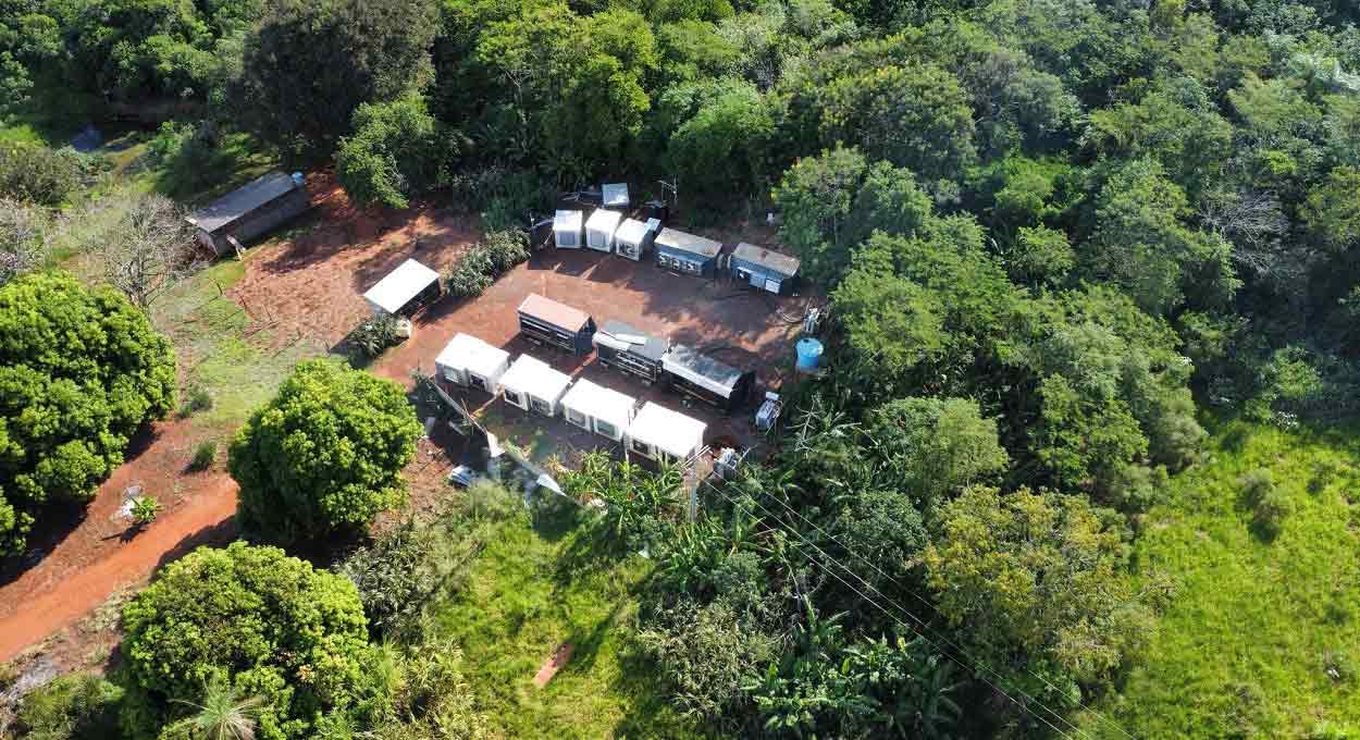 Criptomoedas: companhia descobre “gato” milionário no Paraguai