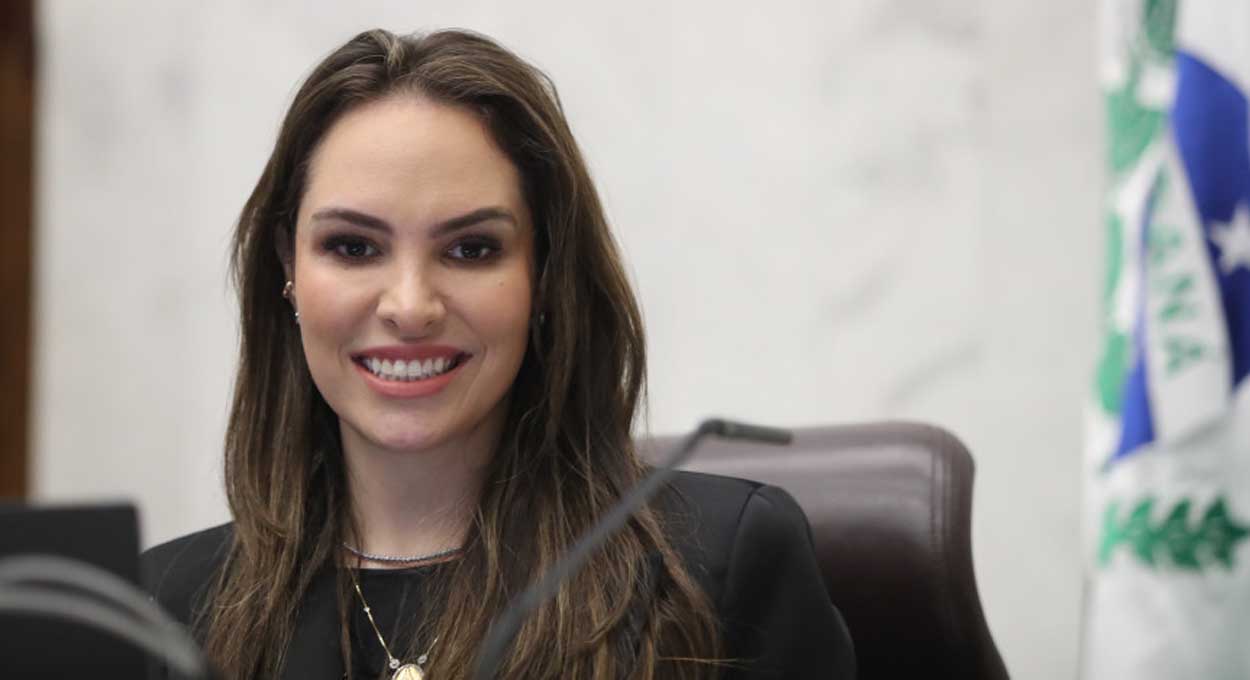 Biogás, Energias renováveis e Presidência do TSE