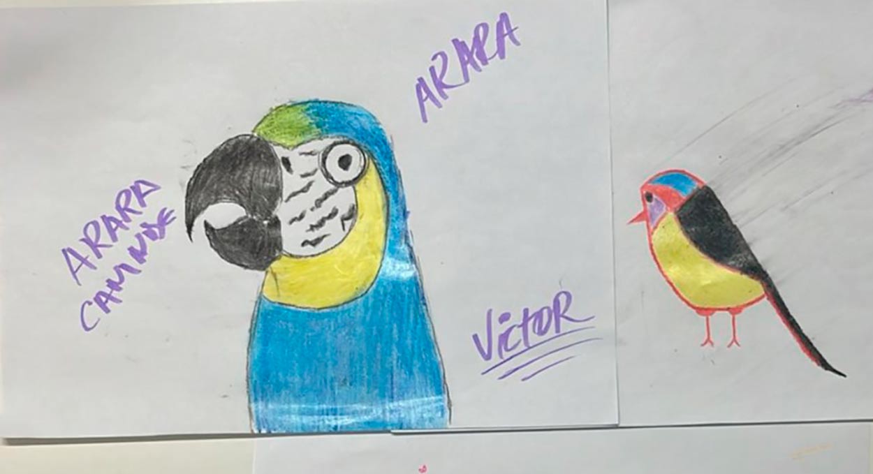 Parque das Aves participa de ação global do Dia de Desenhar uma Ave