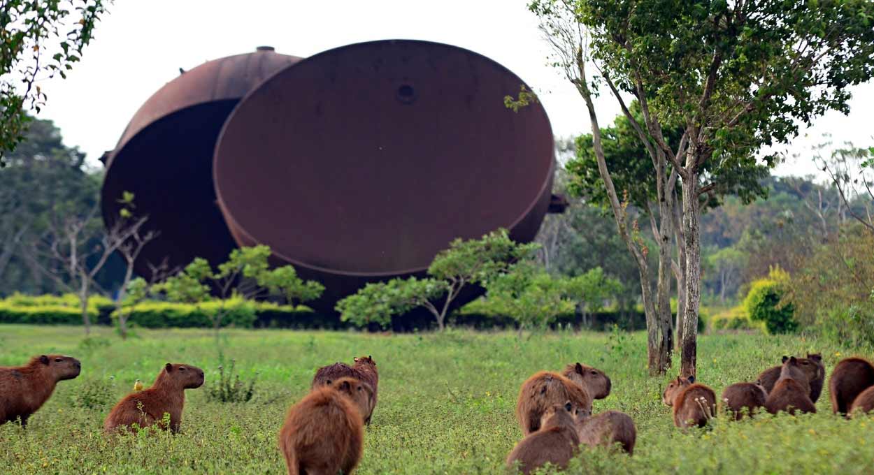 Meteorologia prevê semana chuvosa para Foz do Iguaçu