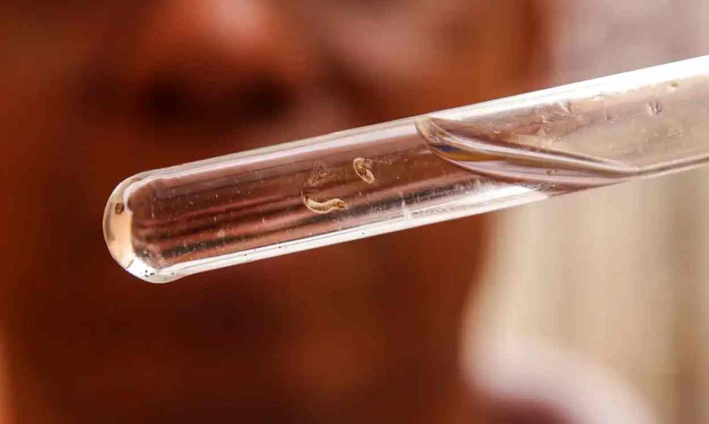 Dengue em Foz do Iguaçu acumula 13 mil notificações e 1.840 casos