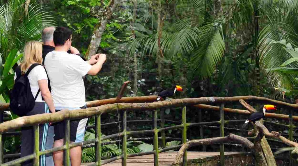 Turismo internacional cresce 36% no Paraná durante primeiro trimestre