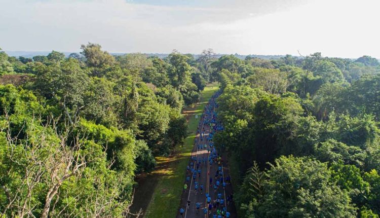 Percurso da corrida é inteiramente dentro do Parque Nacional do Iguaçu. Foto: Marcos Labanca