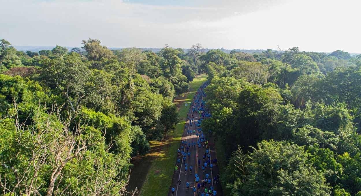 Percurso da corrida é inteiramente dentro do Parque Nacional do Iguaçu. Foto: Marcos Labanca