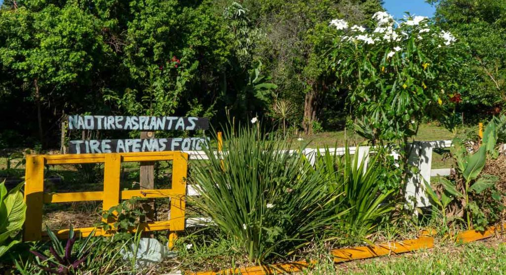 Encante-se com um inesperado jardim em Foz do Iguaçu