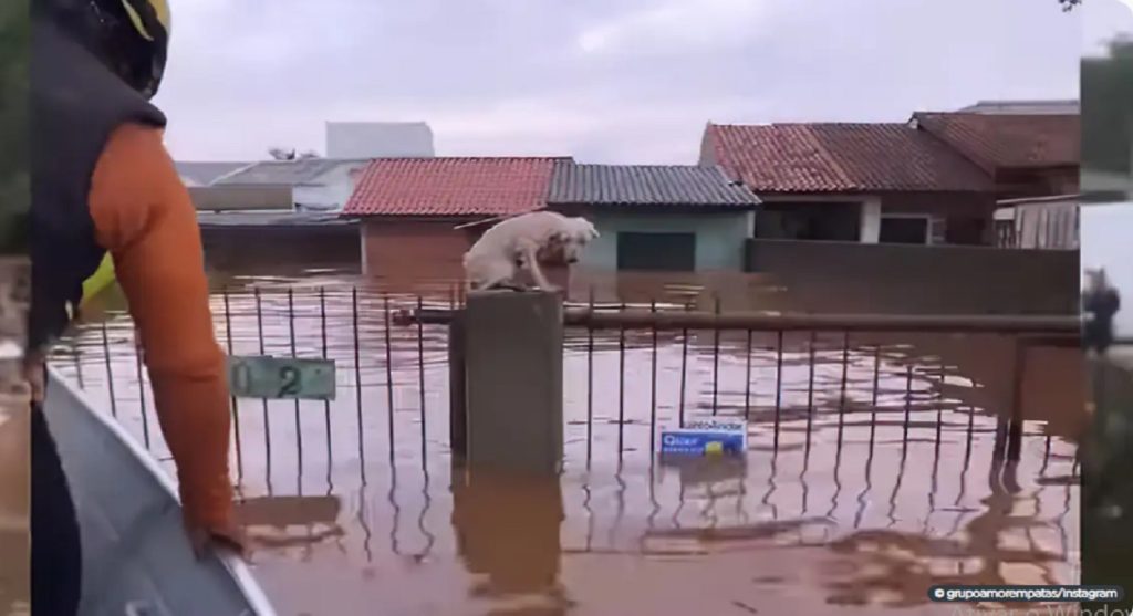 RS de joelhos diante da tragédia climática