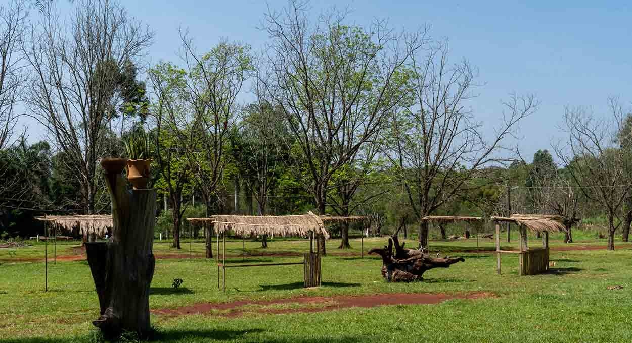 Justiça dá ordem para desocupação de área onde vivem avá-guaranis