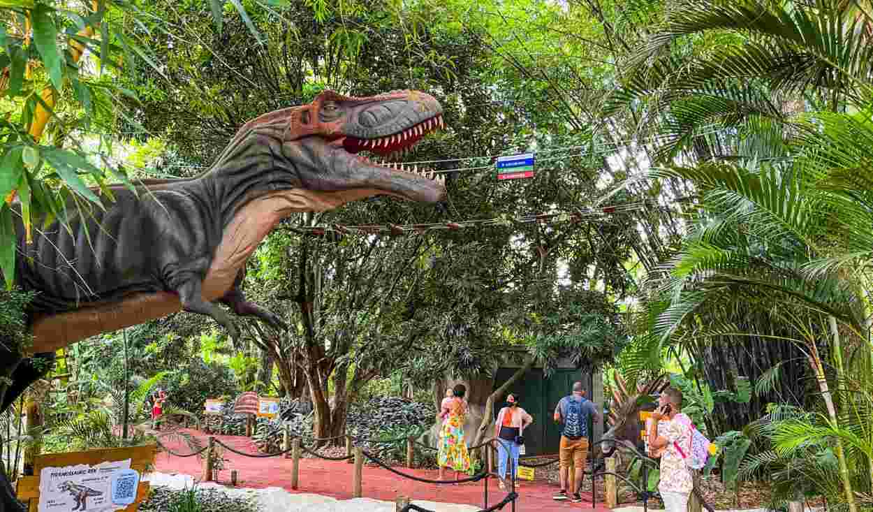 Ajuda ao Rio Grande do Sul: Dreams Park Show segue com companha solidária