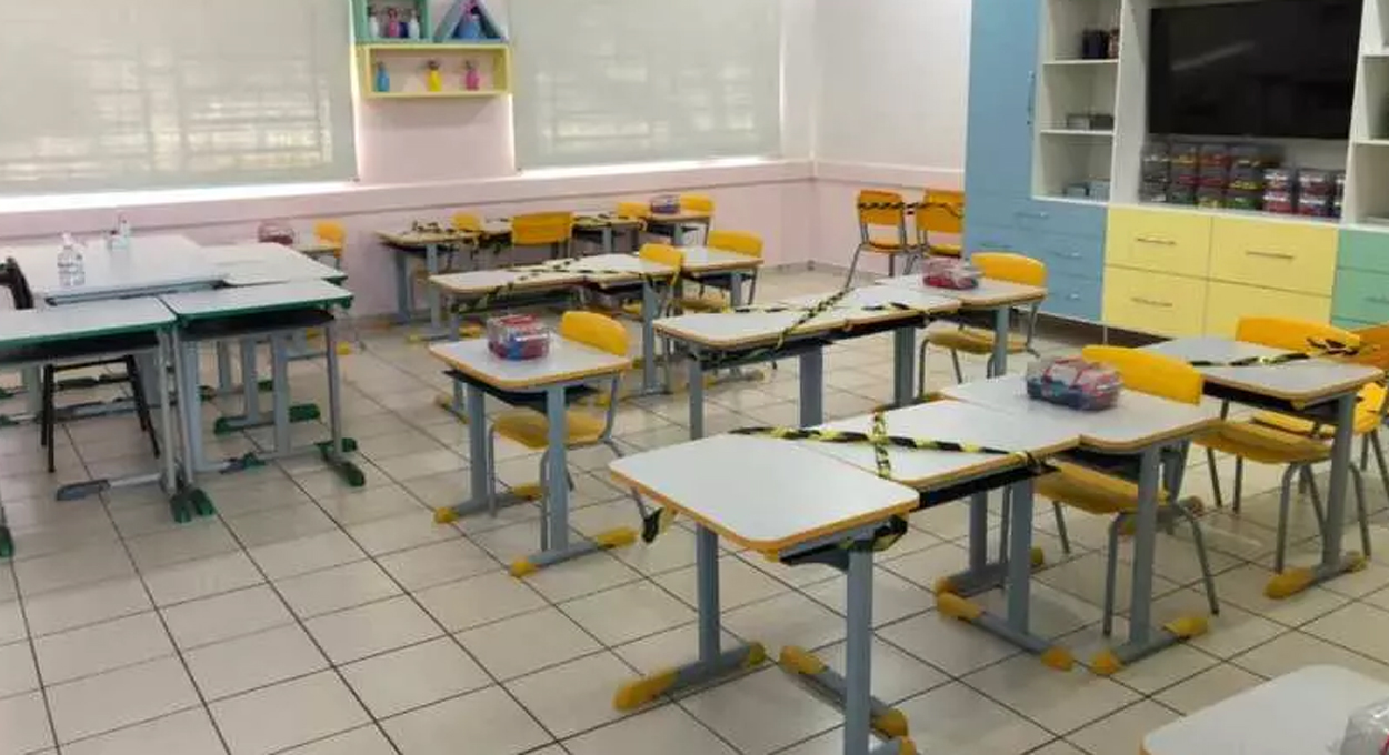 Alfabetização, Mulheres na Política, Agrinho e Novo programa