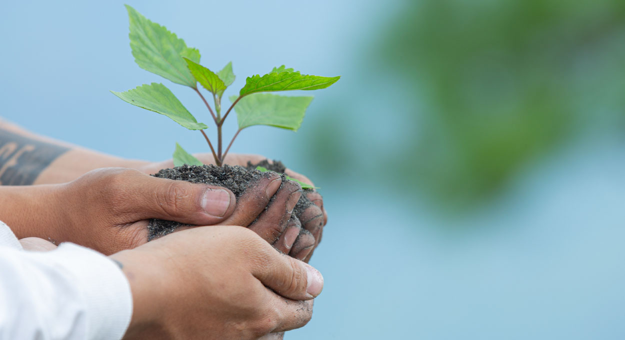 Ambientalismo e fim do mundo