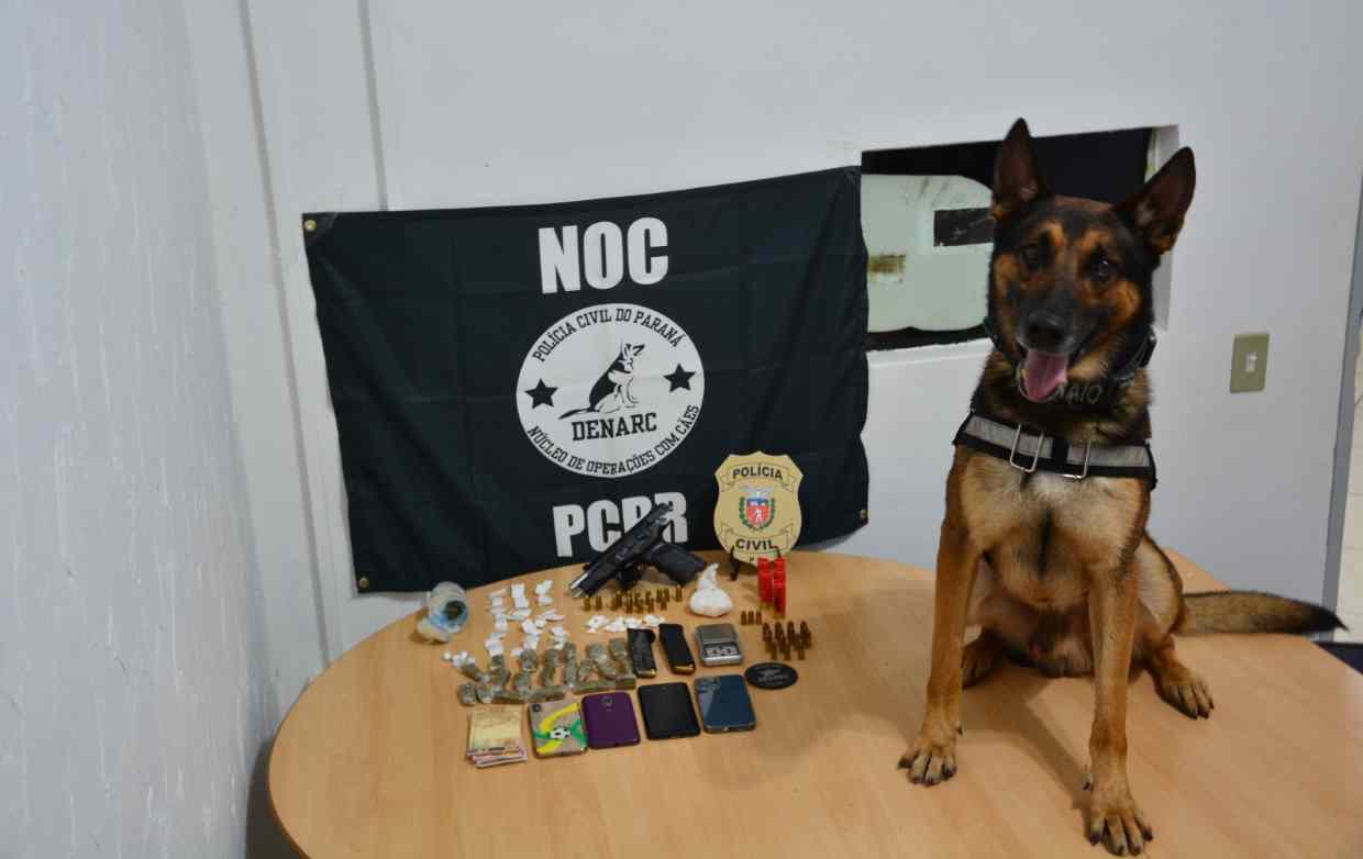 Operação contra o tráfico de drogas em Foz do Iguaçu reúne 25 policiais civis