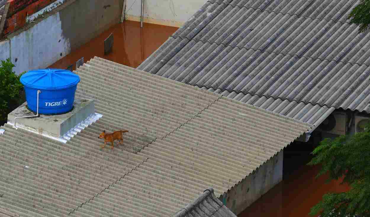 Sanepar envia caminhão-pipa de Foz do Iguaçu para ajudar Rio Grande do Sul