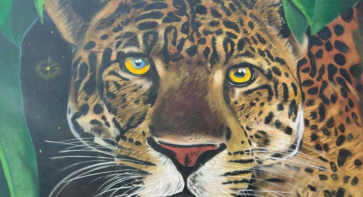 Onça-pintada olha fixo para quem chega. Foto: Gentileza/Agua de las Misiones