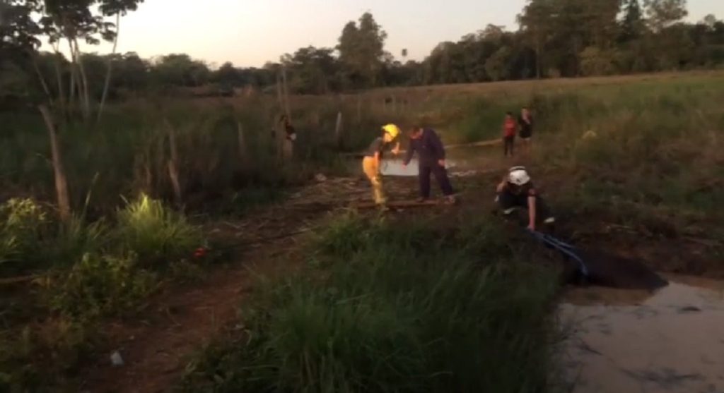 Bombeiros resgatam cavalo preso em lagoa no lado argentino