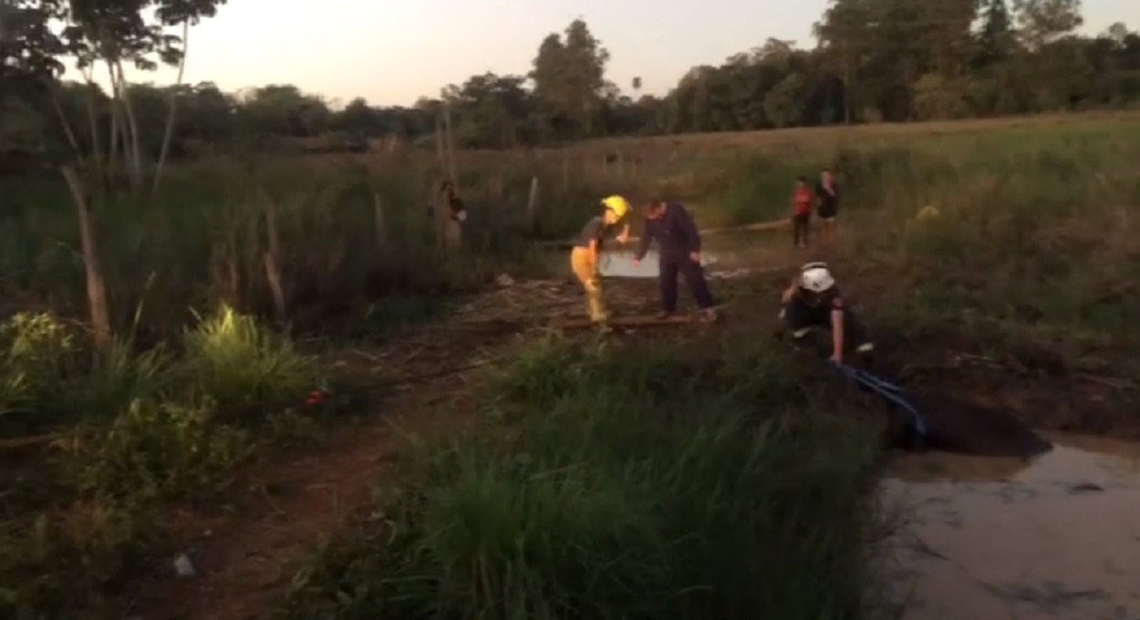 Bombeiros resgatam cavalo preso em lagoa no lado argentino