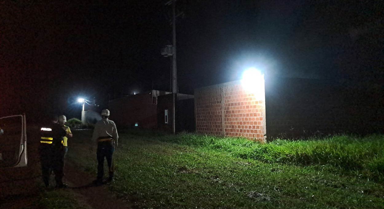 Paraguai usa inteligência artificial para identificar “gatos”