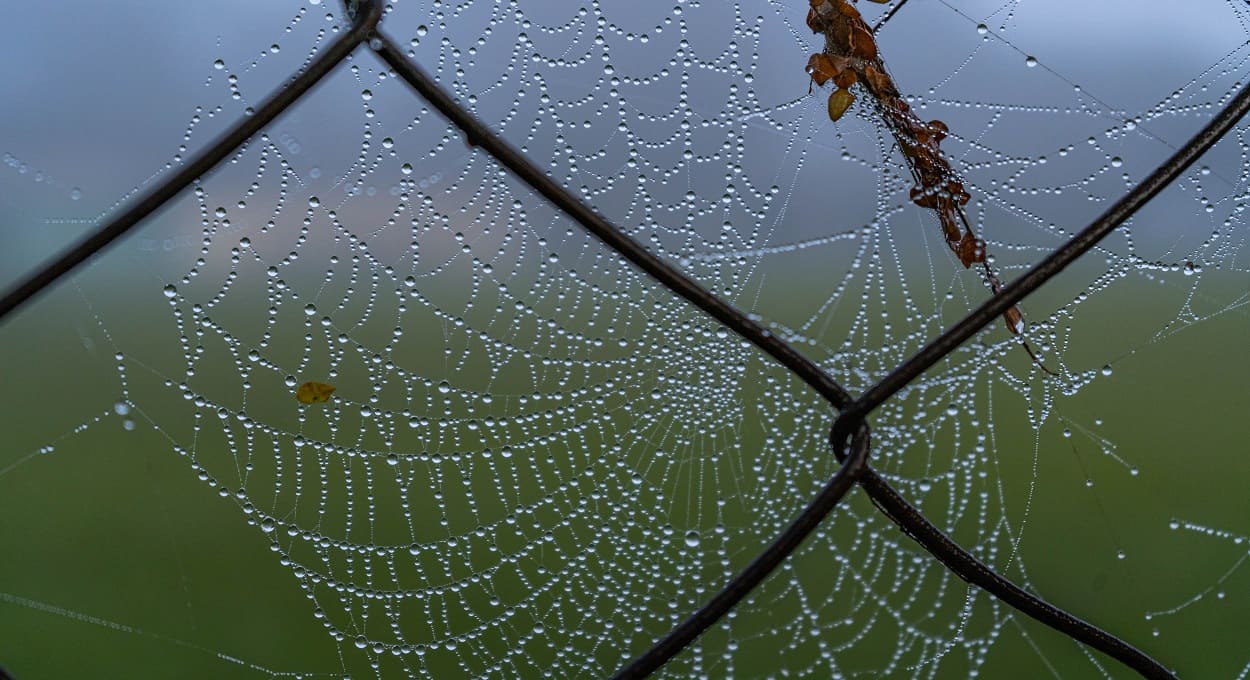 Frio: veja as mínimas deste domingo em Foz do Iguaçu e região