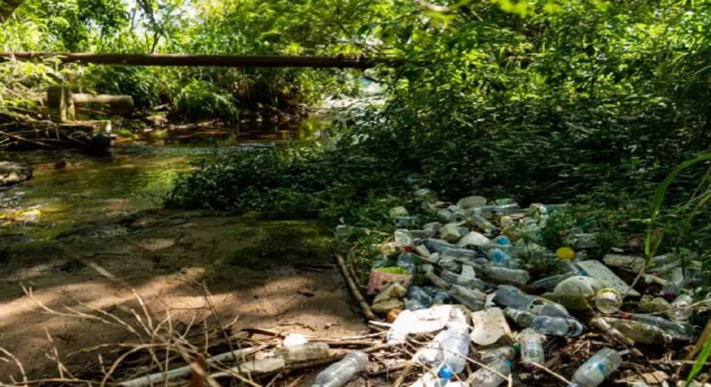 Nem só de Cataratas é formada a biodiversidade de Foz