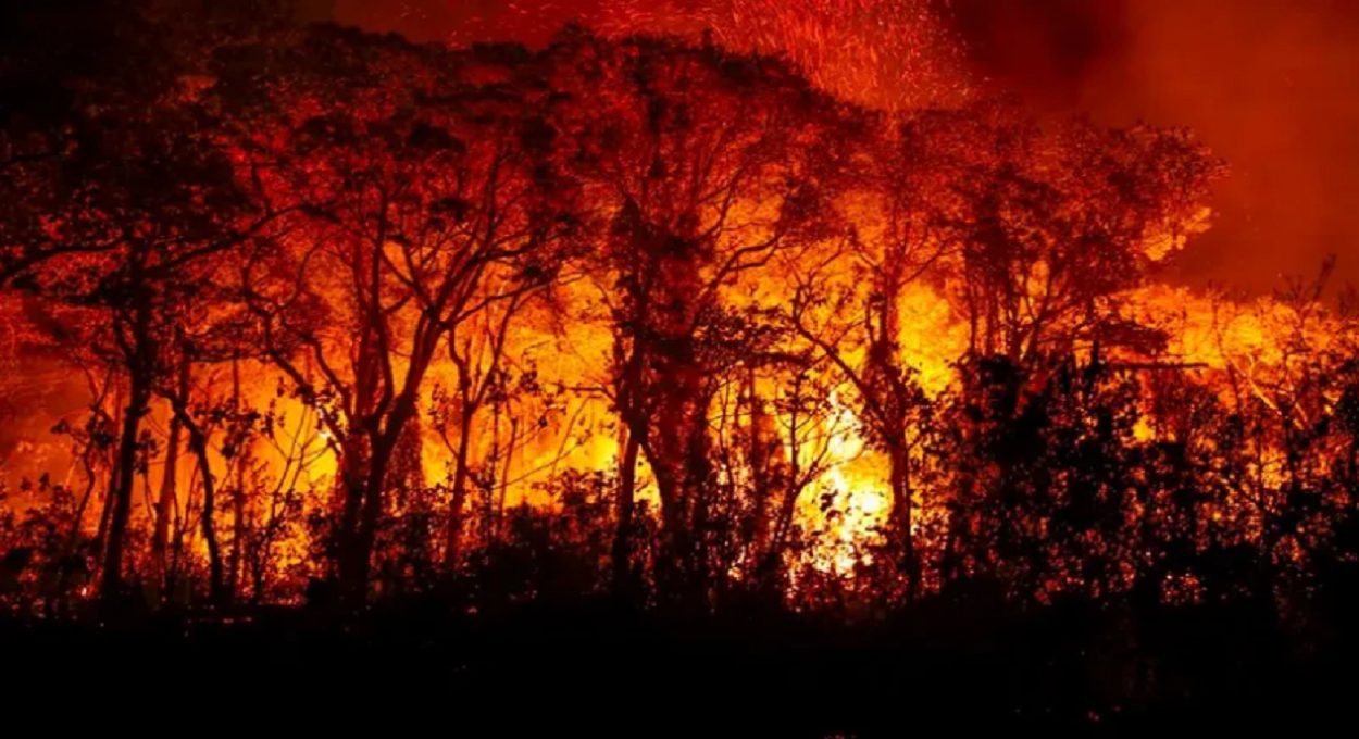 Pantanal: melhor pagar para não atear fogo que tentar apagar incêndios