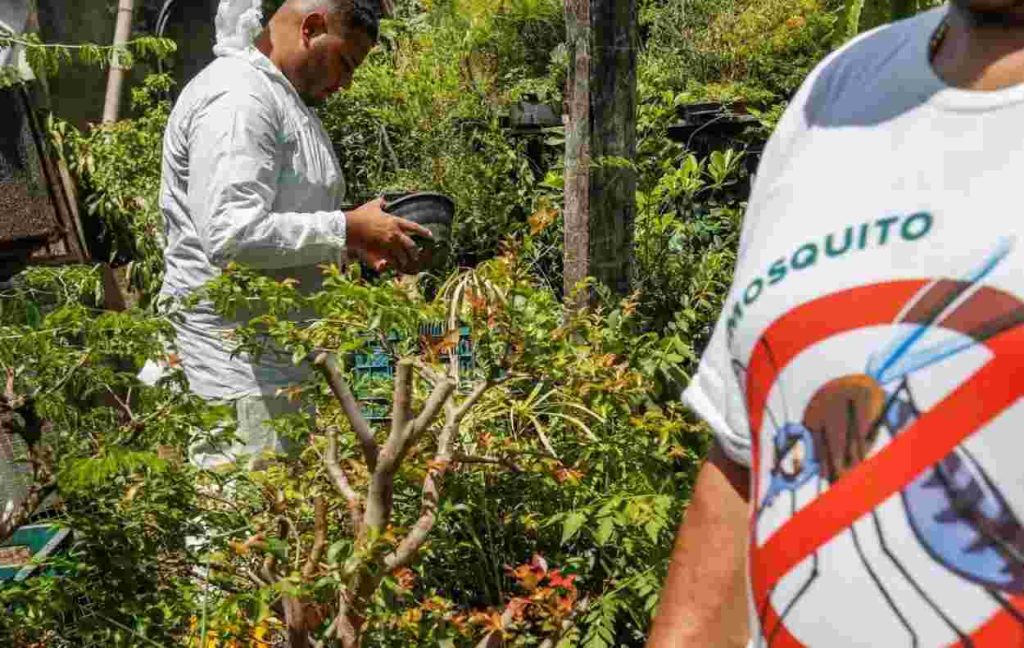 Foz do Iguaçu chega a cinco mortes por dengue