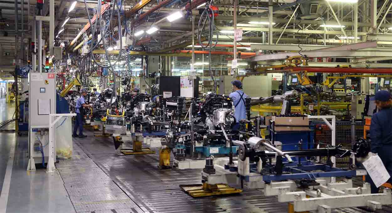 Economia forte, Amop 55 anos, Só dá tainha e Segundo turno