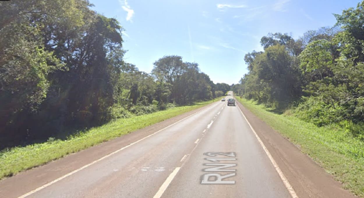 Jaguatirica morre atropelada no lado argentino da fronteira