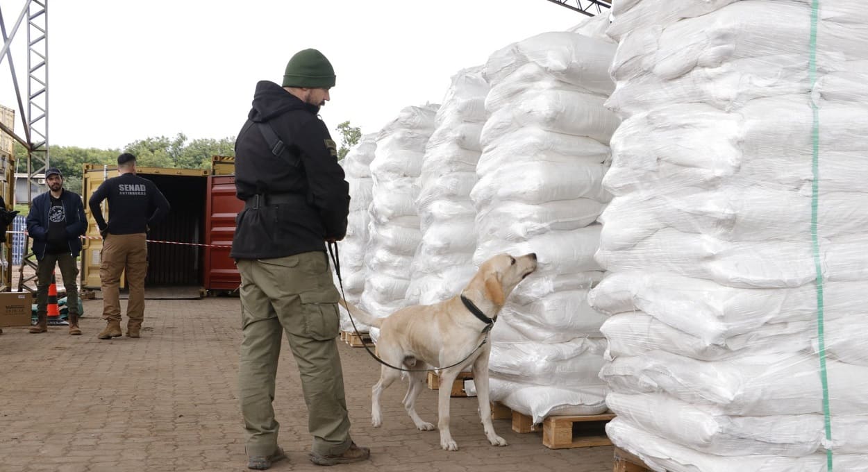 Operação Doçura: Paraguai faz apreensão milionária de cocaína