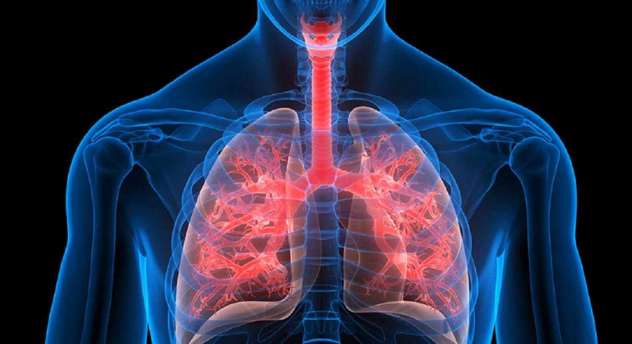 Projeto quer instituir campanha sobre a fibrose cística no Paraná