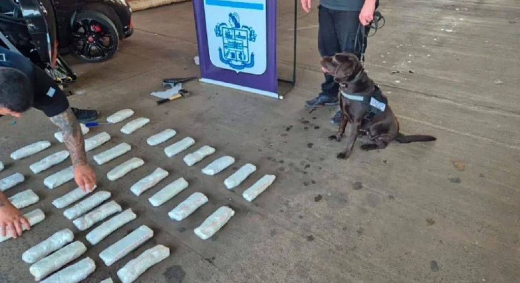 Argentina prende casal com cocaína na Ponte Tancredo Neves