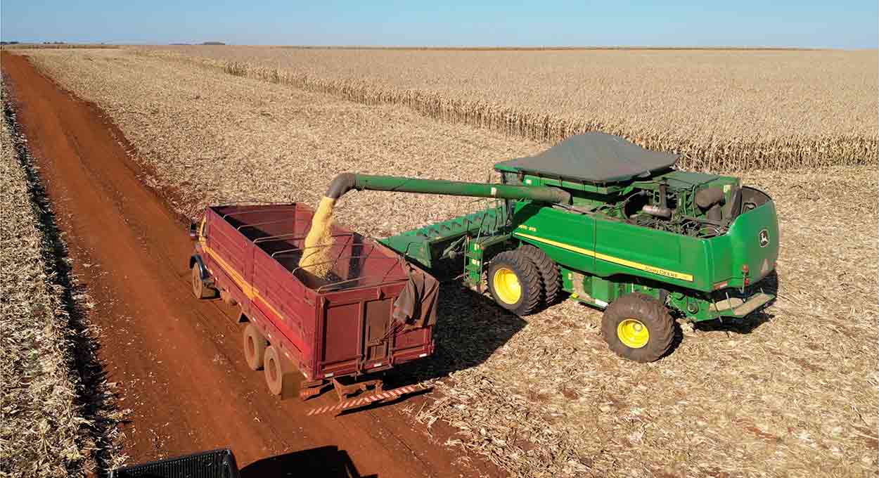 Sicredi disponibiliza R$ 66,5 bilhões no Plano Safra 2024/2025