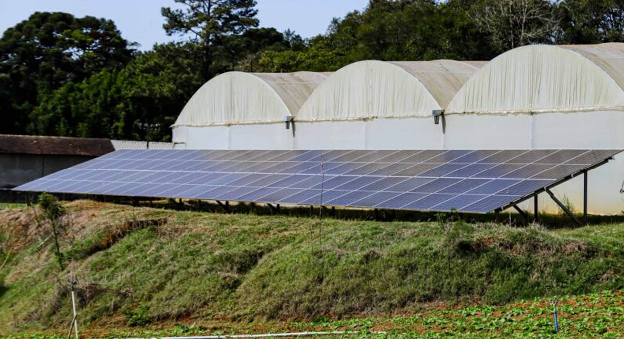 Energia verde, RenovaPR, Benefícios fiscais e Prêmio de Ciência e Tecnologia