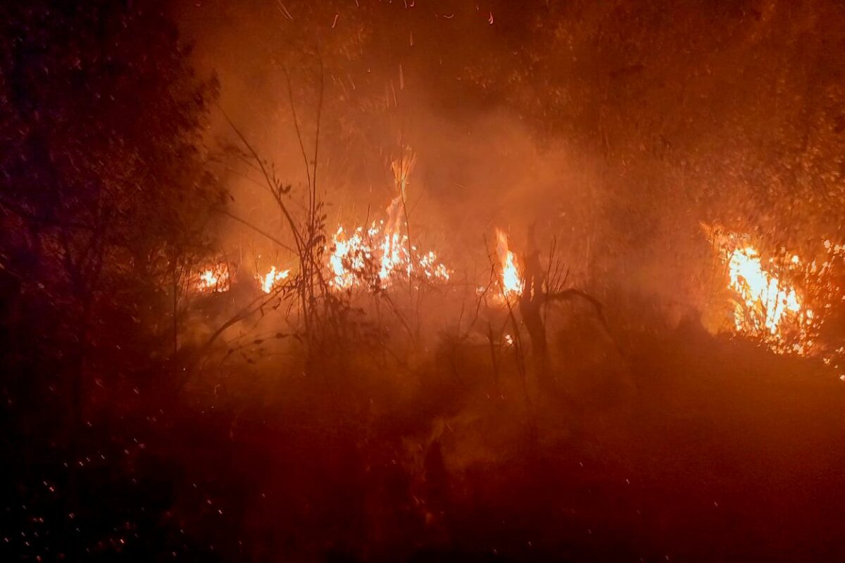 Agosto Cinza alerta para a prevenção a incêndios no Paraná