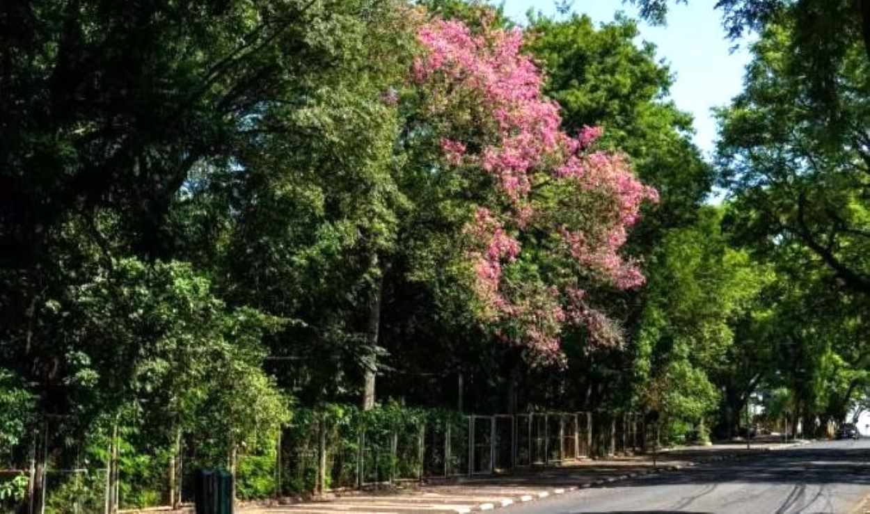 Moradores e entidades podem integrar comissão de 6 unidades de conservação