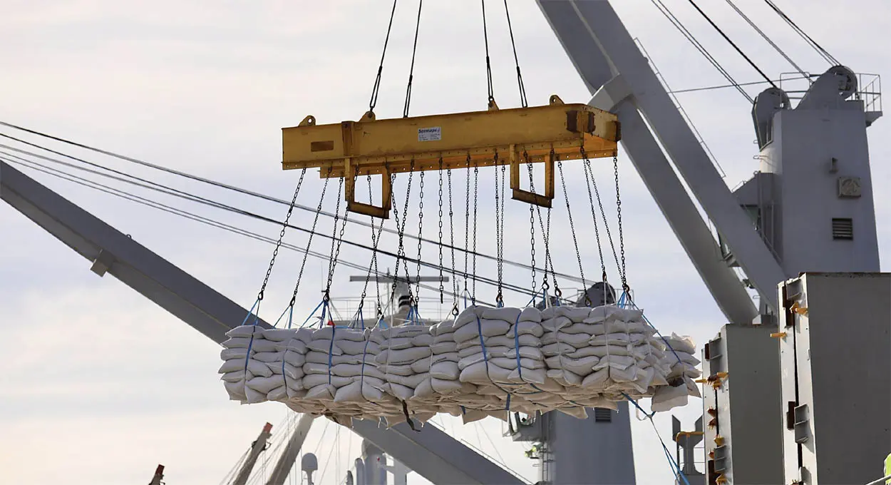 Paraná exportador, Doação de órgãos, Frente fria e Ministra de DH