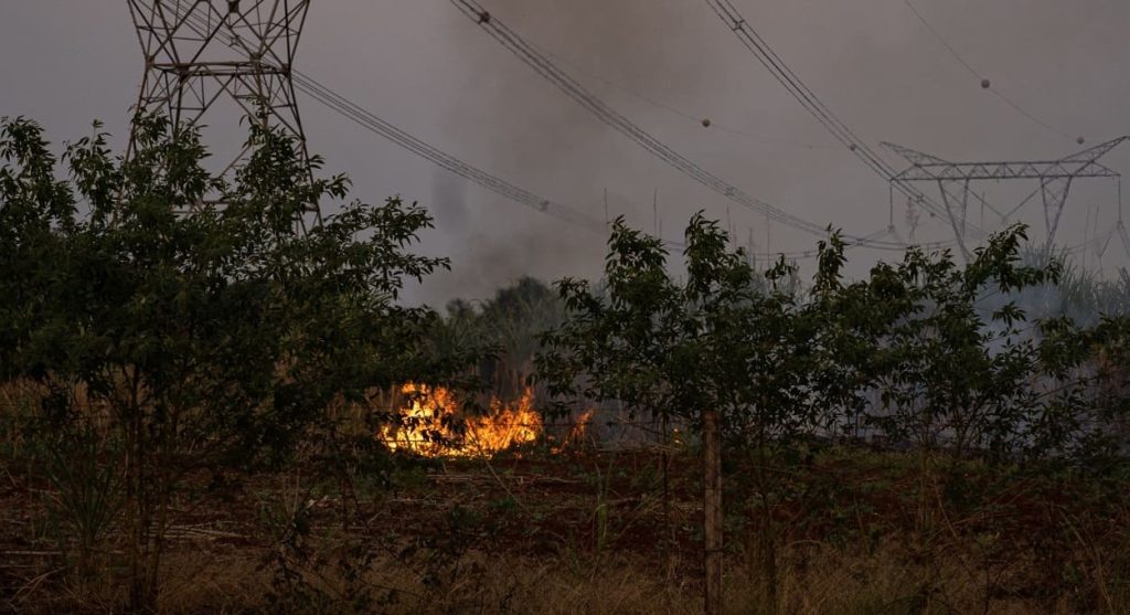 Incêndios em vegetação aumentam 108% em Foz  neste ano