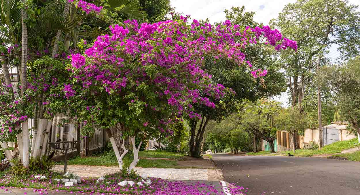 Primavera será quente e com chuva abaixo da média no Paraná