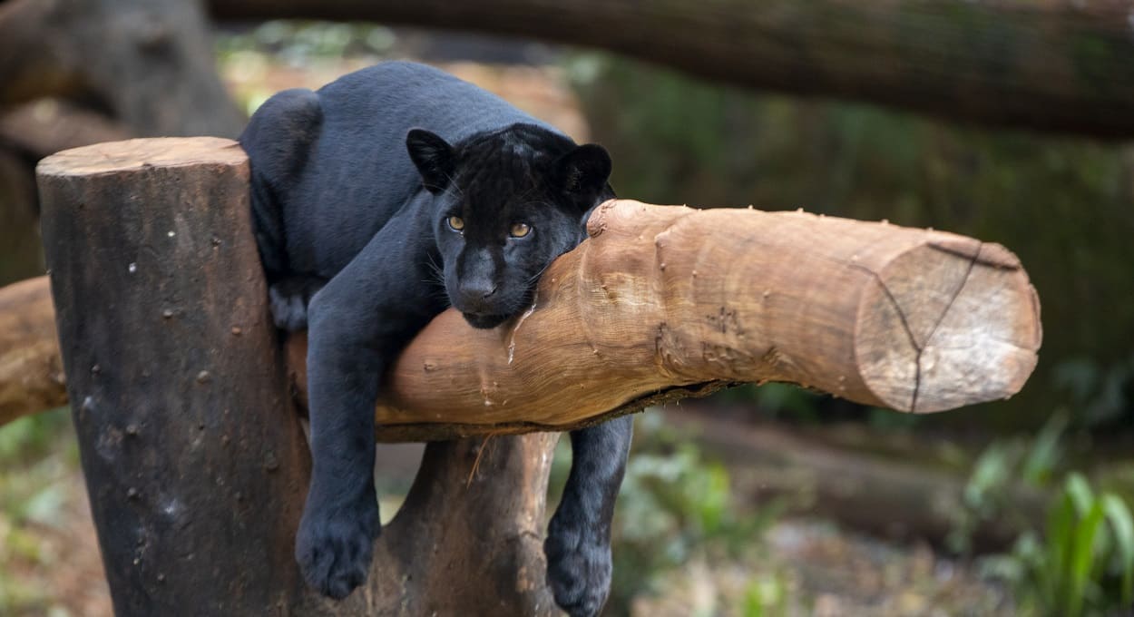Turismo de Itaipu é finalista em mais uma premiação nacional