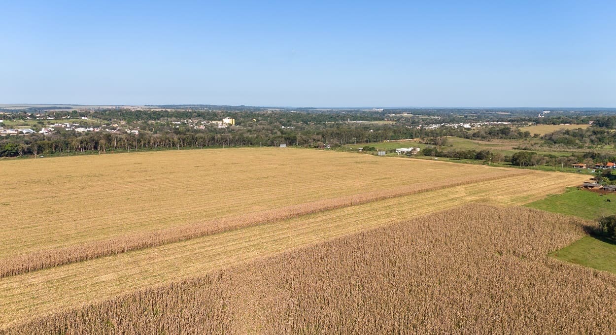 Após temporal, meteorologia indica tempo firme para o fim de semana