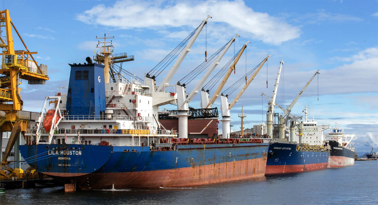 Paraná exportador, Café Qualidade, MünchenFest 2024 e Concurso público