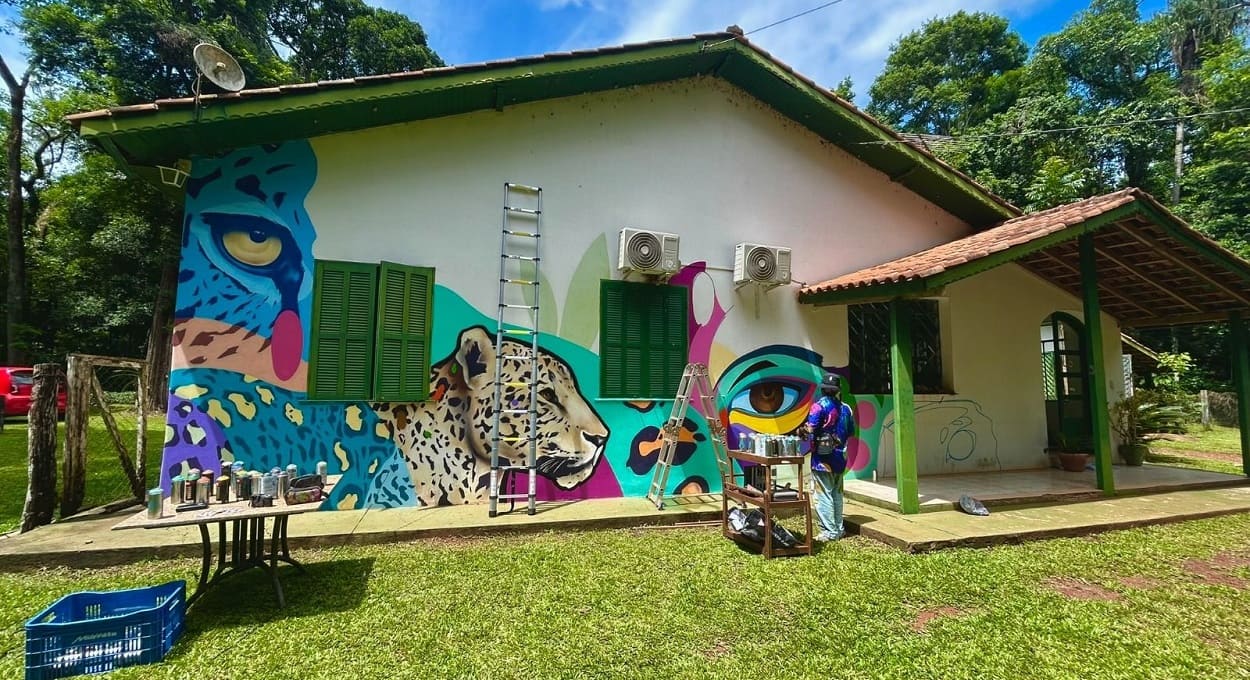 Onças do Iguaçu: parque e Urbia Cataratas anunciam investimentos