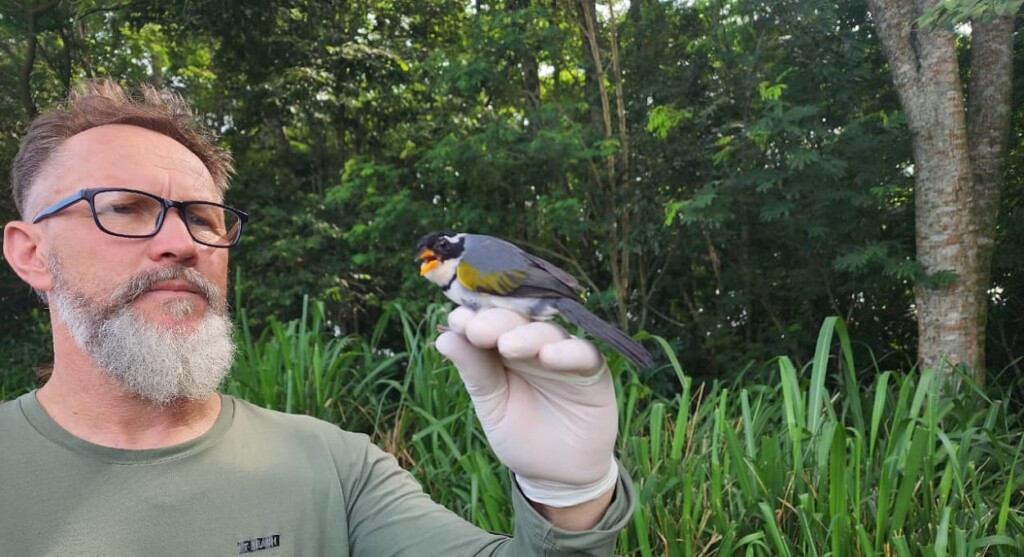 Itaipu promove inventário de aves na região de Foz do Iguaçu