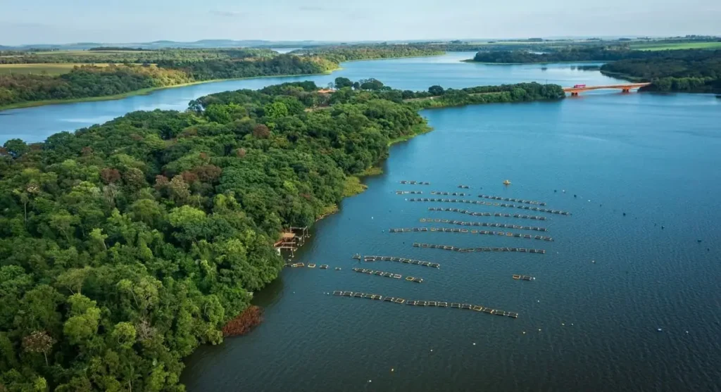 Núcleos de Cooperação Socioambiental apresentam diagnósticos
