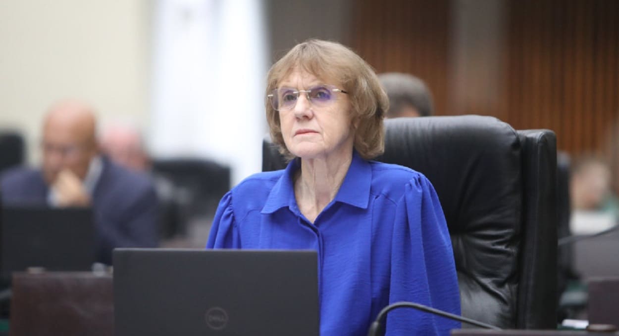 Deputada questiona prestação dos serviços de energia no Paraná