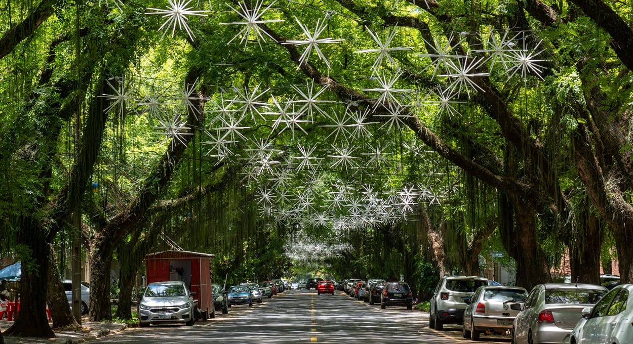 Decoração na Avenida Pedro Basso ficará disponível até a primeira semana de janeiro.
