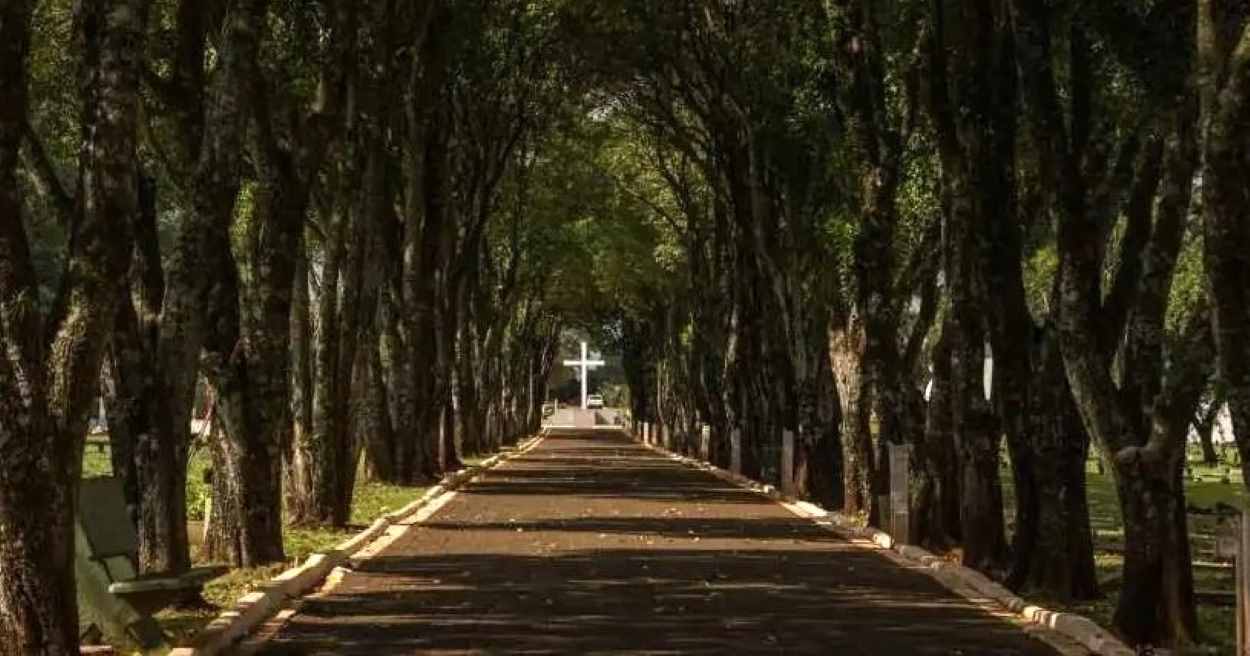 Crematório em Foz é aprovado na Câmara e vai à sanção do prefeito