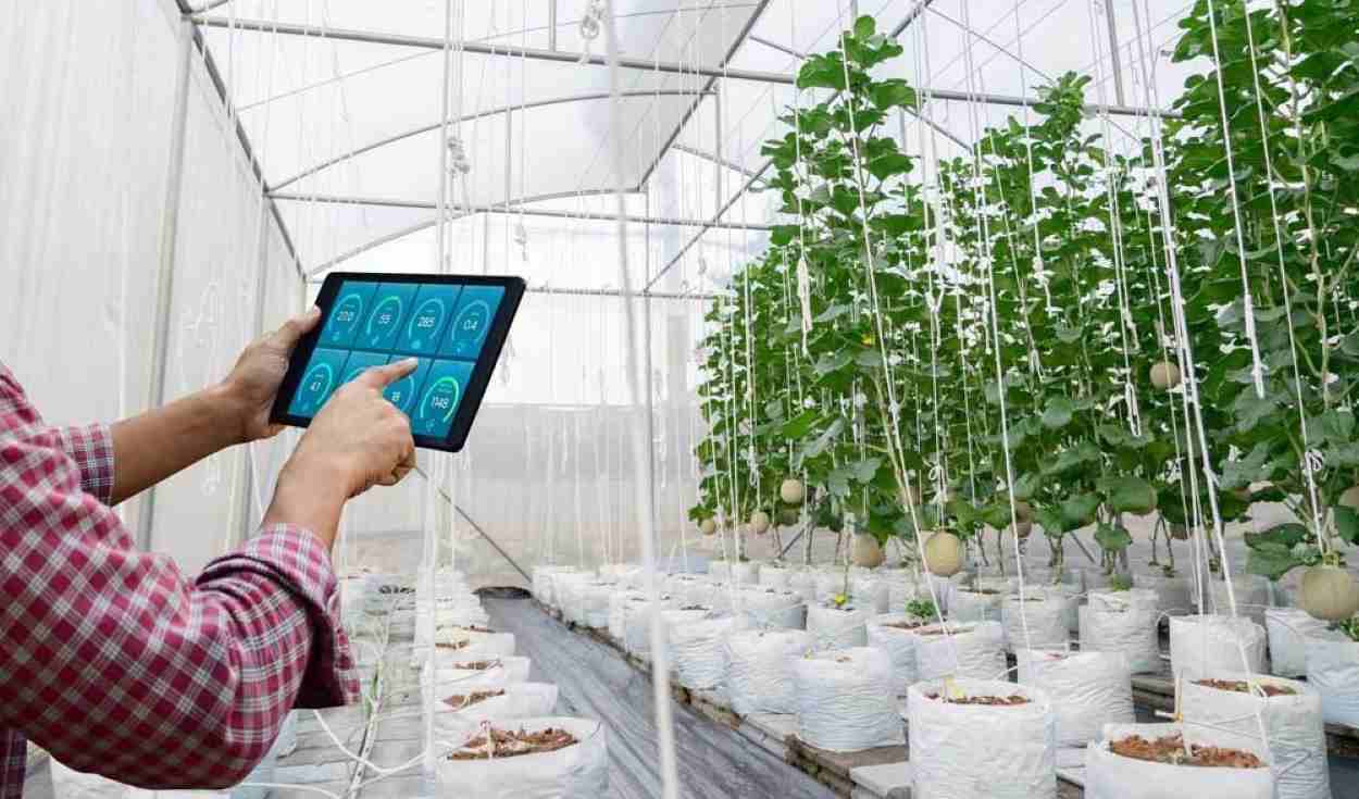 De Foz do Iguaçu, venture fomenta o agro e a logística no país