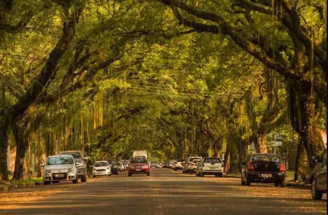 Rua mais bonita, Pedro Basso abre decoração de Natal neste domingo