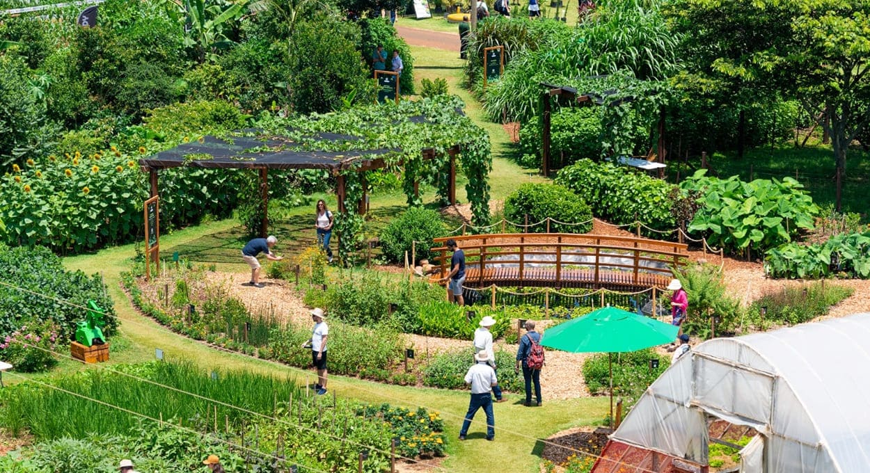 Itaipu e IDR firmam convênio para disseminar agroecologia no Paraná