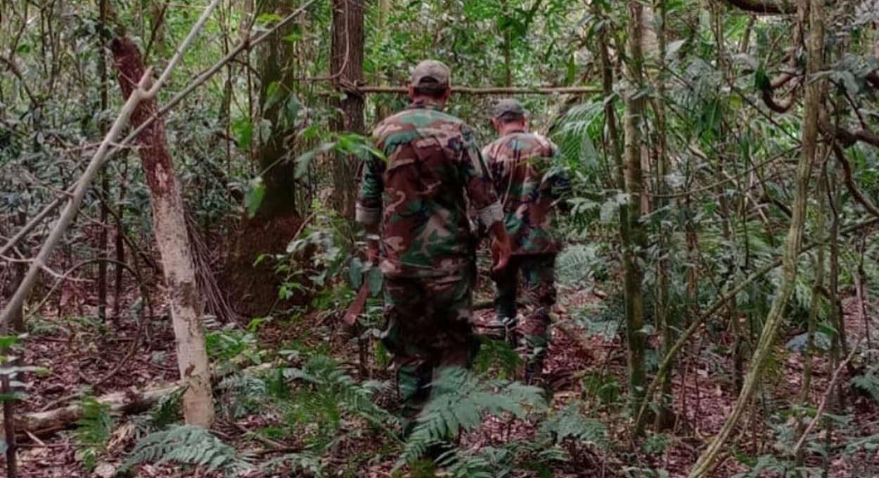 Argentina combate caçadores nas florestas da região de fronteira