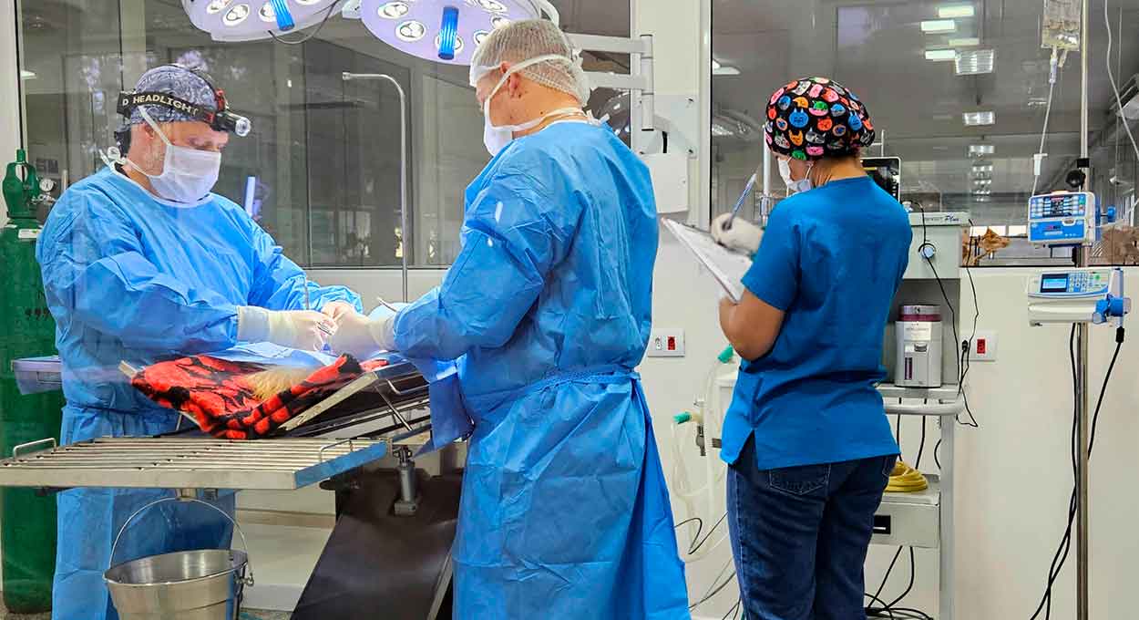 UDC Medianeira inaugura duas salas cirúrgicas no Hospital Veterinário